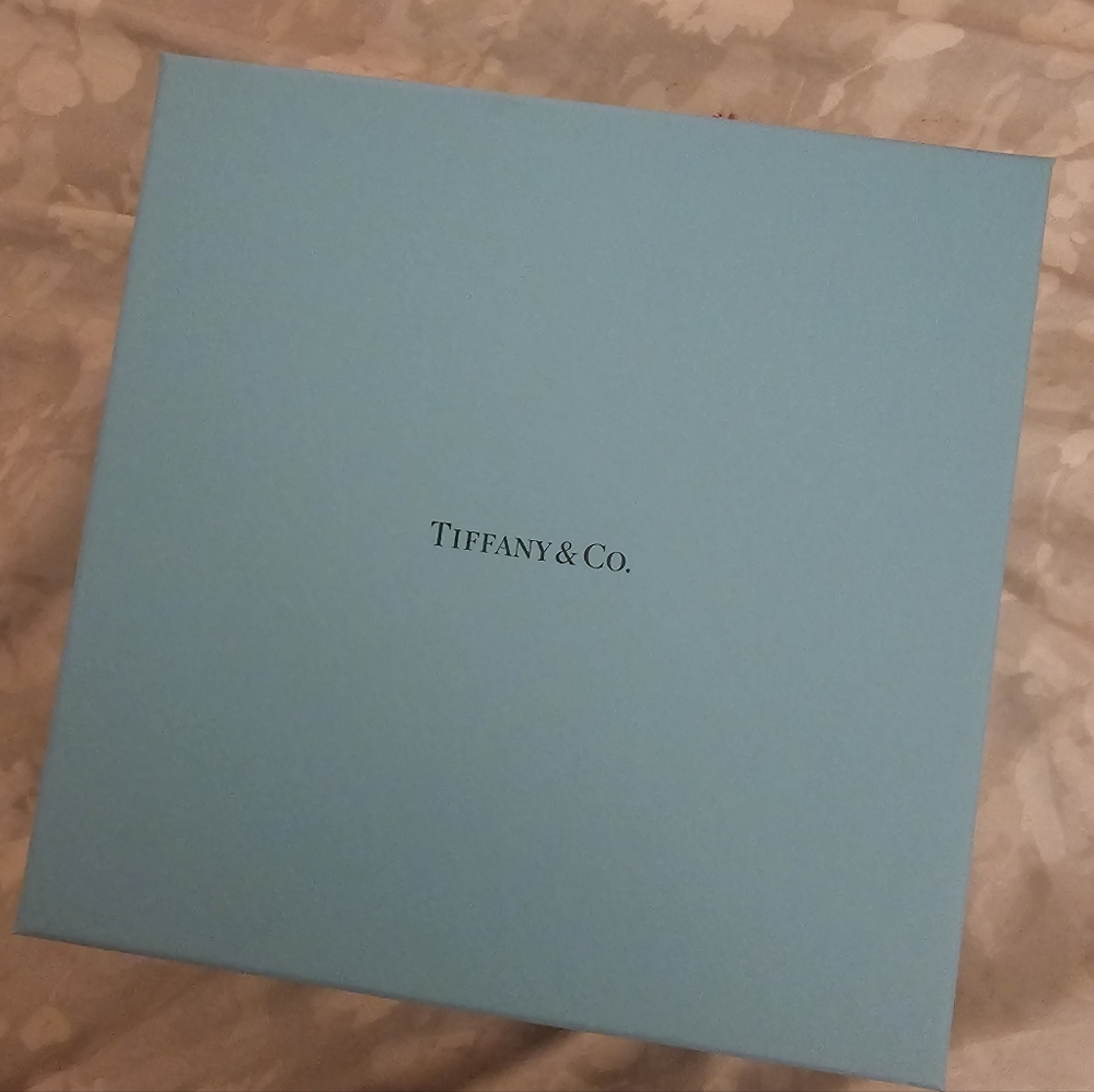 Tiffany & Co. Blue Large Box